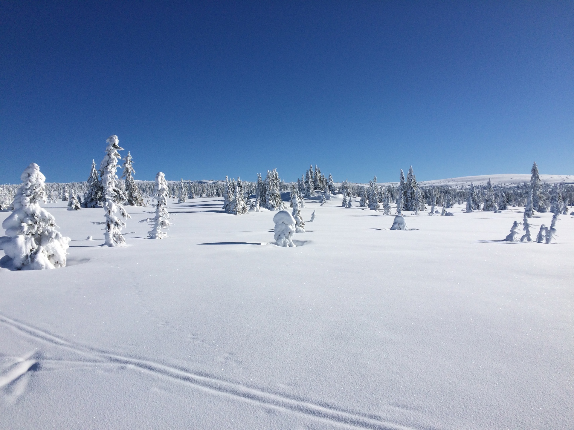 Informasjonsbrev nr. 10