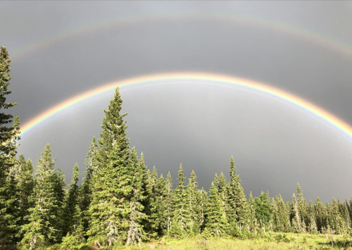 Informasjonsbrev nr. 13