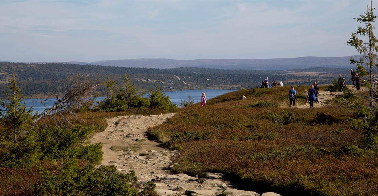 Artikkelbilde til artikkelen Informasjonsbrev nr. 16